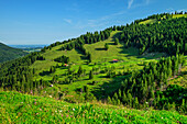 Blick auf Almen am Farrenpoint, Farrenpoint, Mangfallgebirge, Bayerische Alpen Oberbayern, Bayern, Deutschland
