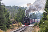  Brocken Railway on its way to the Brocken mountain, Harz National Park, Saxony-Anhalt, Germany 