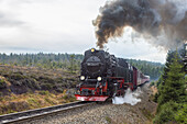  Brocken Railway on its way to the Brocken mountain, Harz National Park, Saxony-Anhalt, Germany 