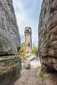  Sandstone formations at Fuenffingerfelsen, Saxony-Anhalt, Germany 