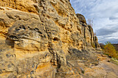  Sandstone formations at the Klusfelsen, Saxony-Anhalt, Germany 