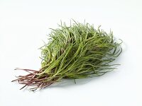 Barilla Plant Images  License food photos  StockFood