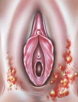 Juda chiroyli BBW porno