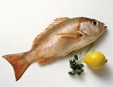Whole Red Snapper with Lemon