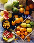 Zitrusfrüchtestilleben: Grapefruits, Pomelos, Ugly, Orangen