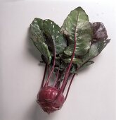 Ein roter Kohlrabi