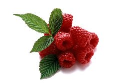 Himbeeren mit vier Blättern auf weißem Untergrund