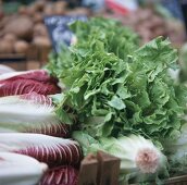 Salate in Steigen auf dem Markt