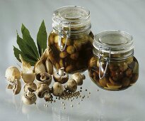 Two jars of marinated button mushrooms
