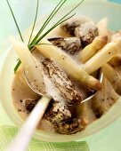 White asparagus with morel and cream sauce