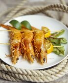 Grilled shrimps on skewers
