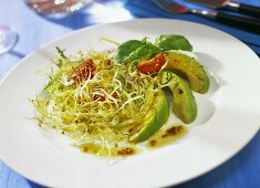 Curly endive with avocado and sprouts