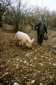 Mann mit Trüffelschwein im Wald (Le Quercy, Provence 1)