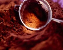 Cocoa powder with sieve
