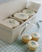 White cup-cakes and petit fours as gifts