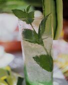 Springtime, garnished with cucumber strips & mint leaves