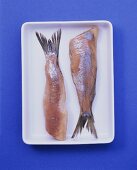 Two matie herrings on shallow bowl on blue background