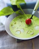 Radieschen-Creme-Suppe