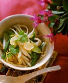 Thailändische Gemüse-Nudel-Suppe