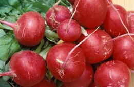 Fresh radishes