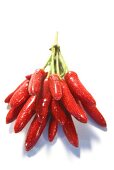 Red chili peppers with drops of water