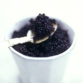Black caviare in a cup and on tortoiseshell spoon