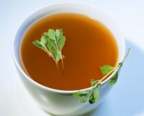 Aromatic poultry stock with marjoram