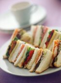 Teller mit vielen verschiedenen Sandwiches
