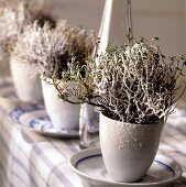 Plants with artificial snow as winter table decoration