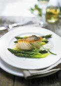 Zander fillet with green asparagus and champagne sauce