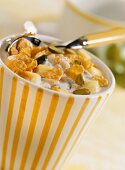 Cornflakes (Haferfleks) mit Kefir, Pfirsichen und Pistazien