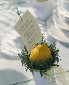 Small pot of lemon and herbs as menu holder