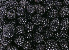 Blackberries