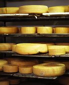 Cheeses in maturing cellar (Fonti Farm, Australia)