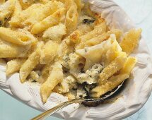 Penne gratinate al Gorgonzola (Überbackenes Nudelgericht)