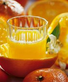 Orangensaft im Glas in einer Orangenhälfte