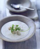 Rieslingsuppe mit Zanderklösschen und Kerbelzweig