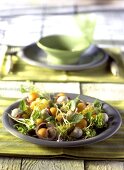 Gemischter Blattsalat mit Melonen-Mozzarella-Spiesschen