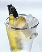 Two white wine bottles in ice bucket