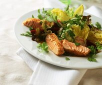 Mixed salad with sesame salmon