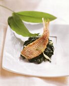 Fried fish fillet on ramsons (wild garlic) spinach