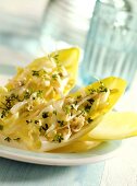 Chicorée-Sprossen-Salat mit frischer Kresse