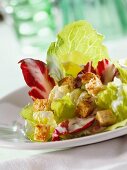 Green salad with croutons and yoghurt dressing