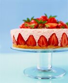 Strawberry flan with strawberry mousse on cake stand