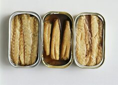 Sardines in three opened tins