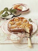 Apple cheesecake with icing sugar and cream