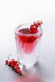 Ice glass with redcurrant liqueur and frozen redcurrants