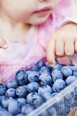 Child eating freshly washed blueberries