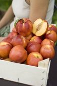 Nectarines in crate, woman in background