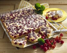 Cherry marzipan cake on baking tray
